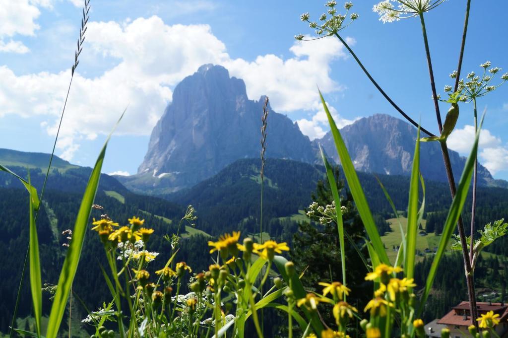 Apartments Salieta Santa Cristina Val Gardena エクステリア 写真